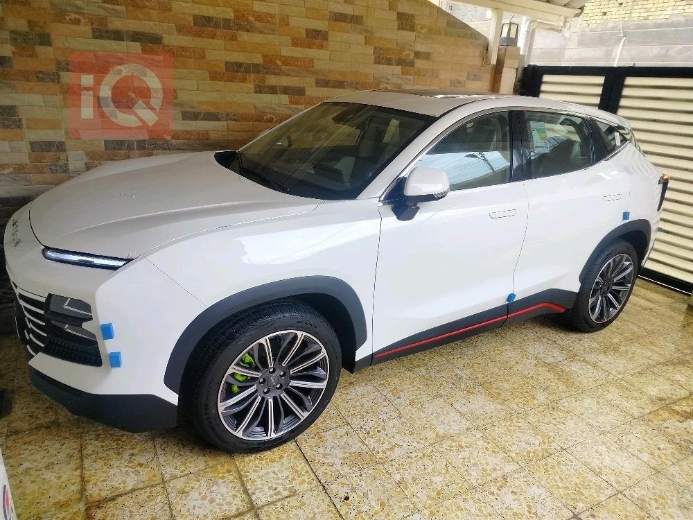 جيتور داشينج